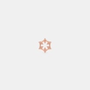 The Veloraa Stud Earrings - thumb 6
