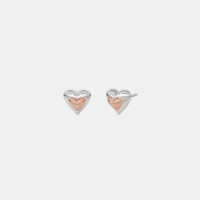 The Heike Kids Stud Earrings - image 1