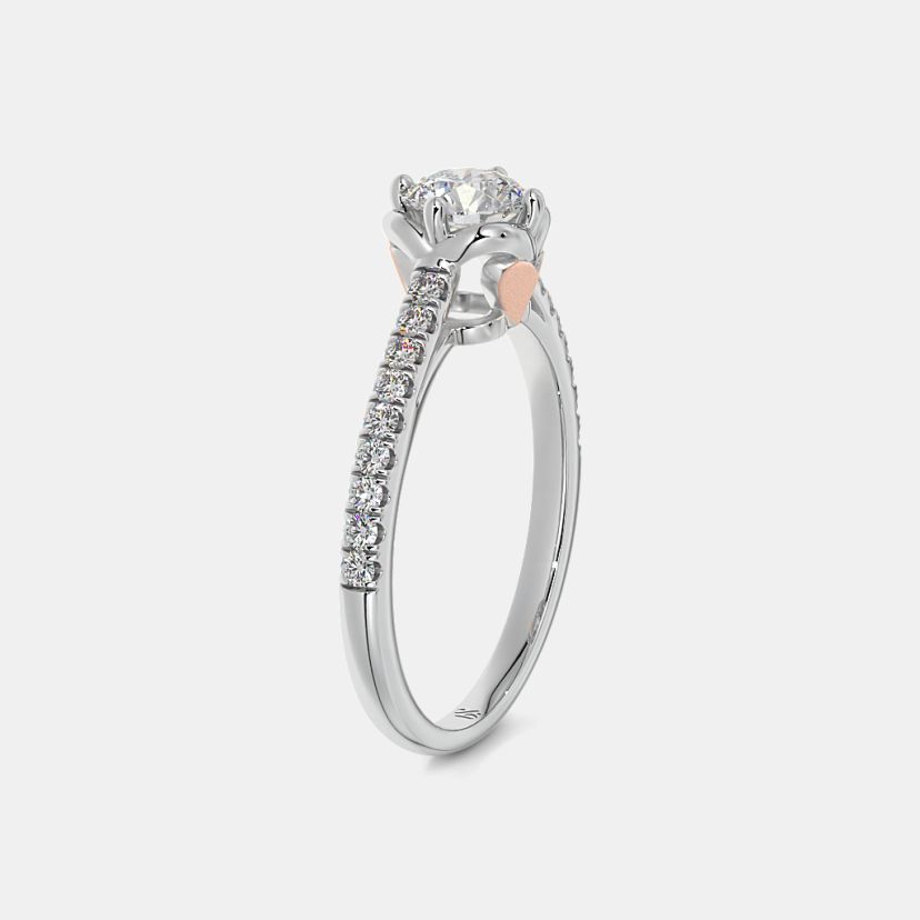 The Atlanta Ring - image 9