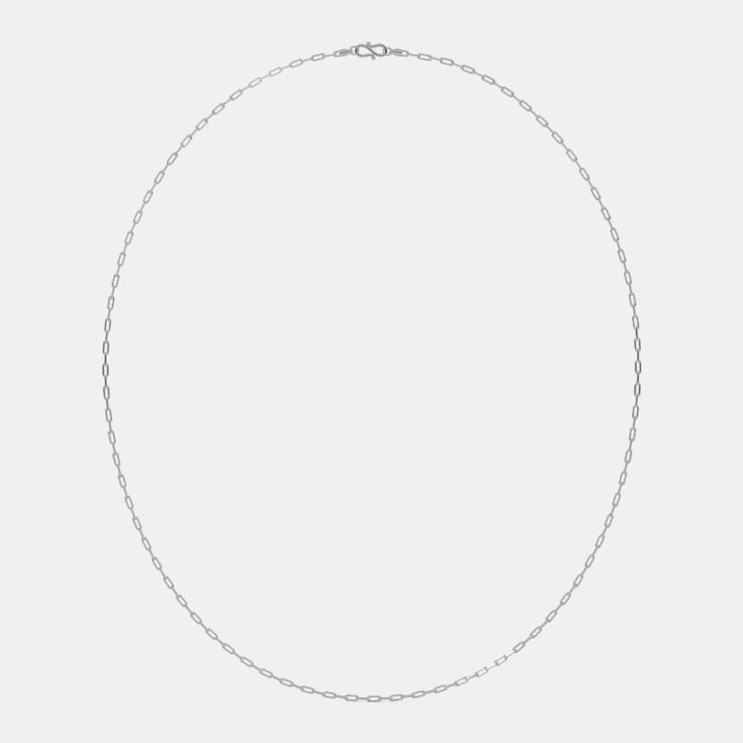 The Torrid Platinum Chain - image 3