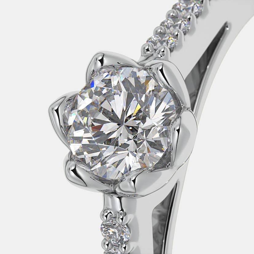 The Honorary Ring - image 5