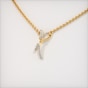 The Ziv Necklace